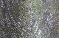 Glendearg fibreglass roof work